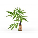 Cannabis Originals Olejek CBD PRO Classic 2,5% 10ml