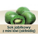 Wiatrowy Sad Sok jabłkowy z mini kiwi 3l