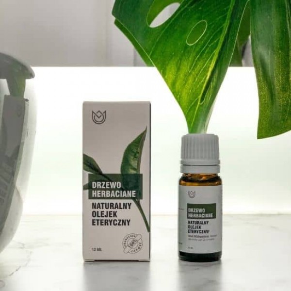 Zing Aromatherapy DRZEWO HERBACIANE – Naturalny olejek eteryczny 12ml
