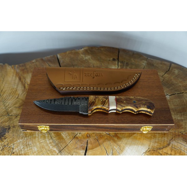 Ztefan Nóż ze stali damasceńskiej NM-019 w komplecie z pudełkiem z egzotycznego drewna