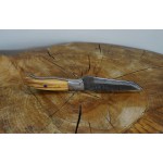 Ztefan Nóż ze stali damasceńskiej NM-023 w komplecie z pudełkiem z egzotycznego drewna
